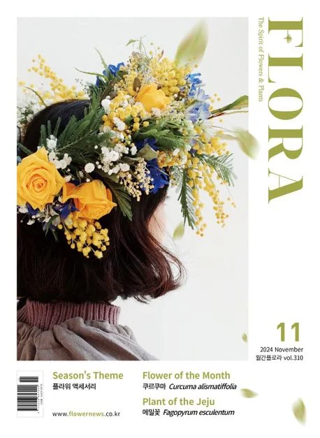 월간 플로라 2024년 11월호